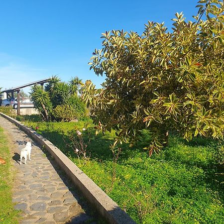 사사리 Asinara 빌라 외부 사진