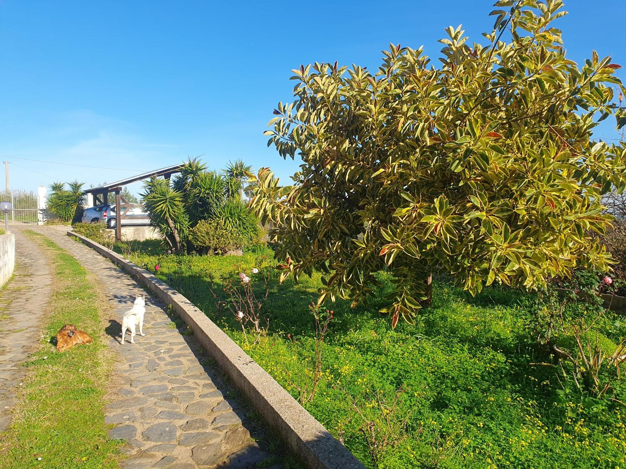 사사리 Asinara 빌라 외부 사진